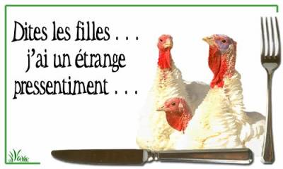 bonne apitie