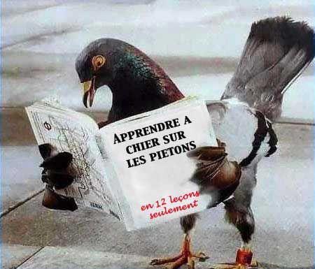 interessant