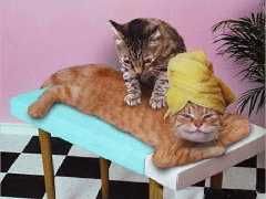 seance de massage