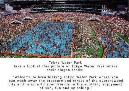 JAPAN........................................